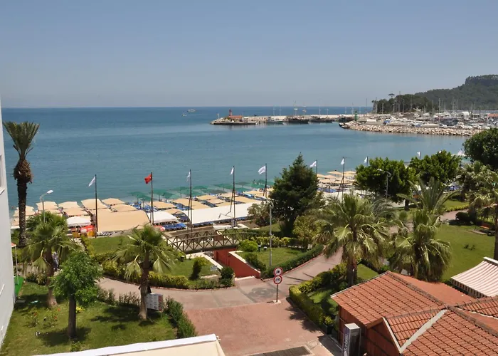 Miranda Moral ケメル