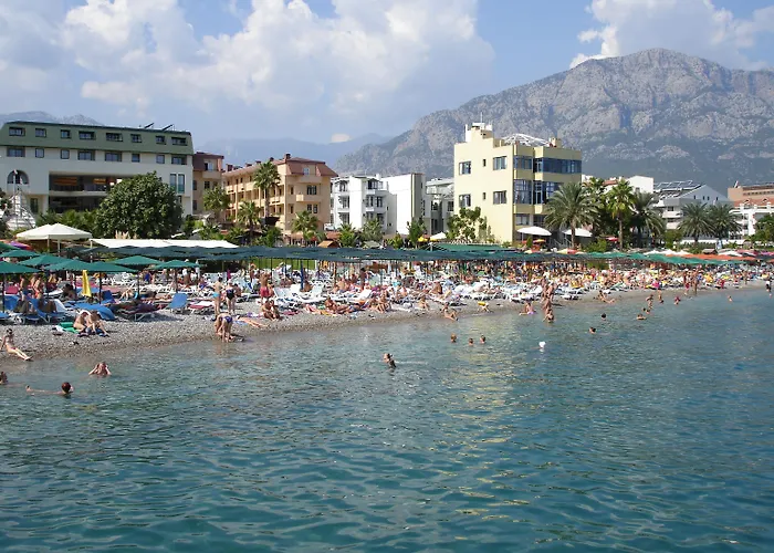 Miranda Moral ケメル