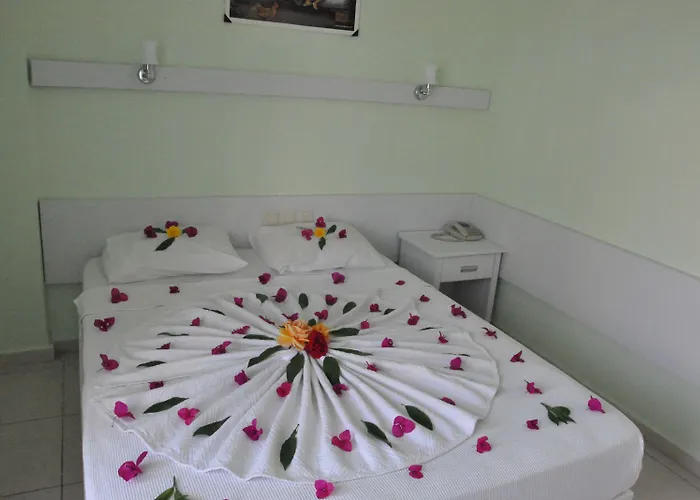 Miranda Moral ケメル