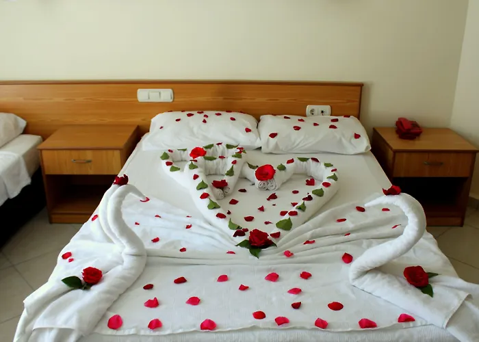 Miranda Moral ケメル